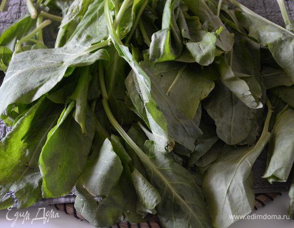 Щавель промыть и просушить. 
