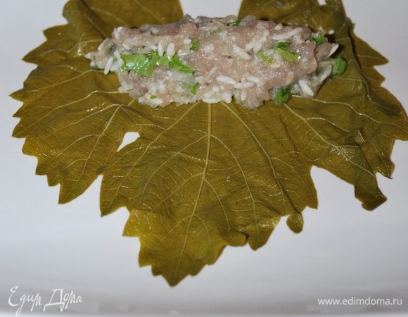 Начинаем фаршировать виноградный лист, начинку кладем на сторону с прожилками.