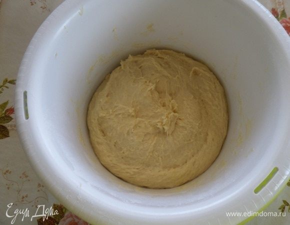Вот такое получилось тесто. Накрываем чашку х/б тканью и оставляем в теплом месте на 1 час.