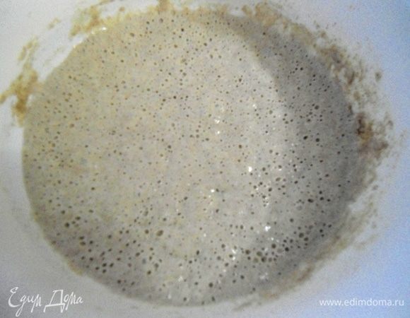 Закваска на утро. Вся в пузырьках, увеличилась в объеме.