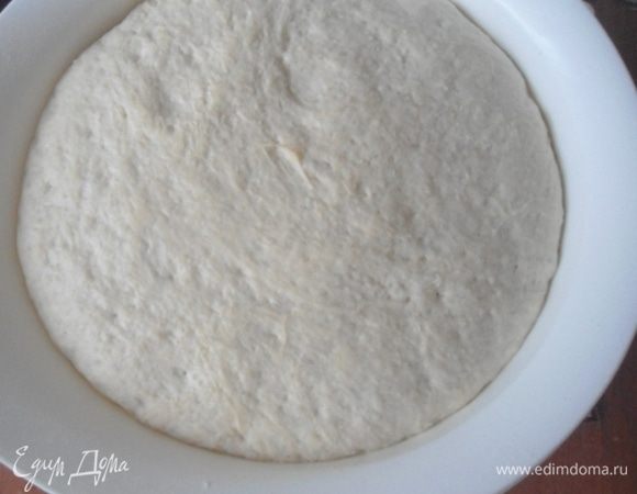 Чудесное преображение теста через 2,5 часа. Обмять.