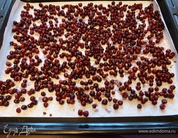 На противень разложим бумагу для выпечки. Высыплем бруснику, распределим по поверхности, стараясь не допускать кучности ягод.