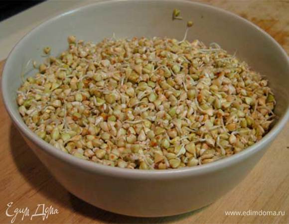 Заливаем 1 стакан зеленой гречки 1,5 стаканом воды. Отварить до готовности. Если вам не удалось купить зеленую, то вполне подойдет обычная гречневая крупа.