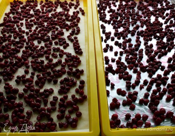 У меня было 2 огромных пластиковых поддона. В первый раз один застелила фольгой и напрасно. На пергаменте лучше сохнет. Накрыть противни марлей и оставить в хорошо проветриваемом сухом помещении. Периодически вишню желательно перемешивать. Я делала это лопаткой для торта, т. к. она тонкая и широкая. Готовность определяется эмпирически)