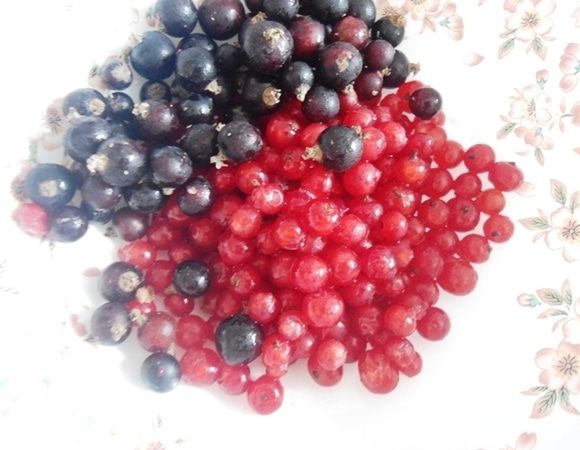 Ягоду перебрать и промыть. Дать воде стечь.