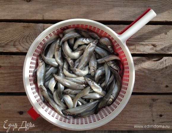 Мелкую корюшку хорошо промыть под проточной водой, откинуть на дуршлаг и дать стечь воде.