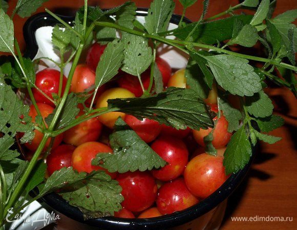 Алычу и мелиссу хорошо промыть.