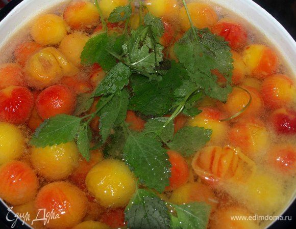 Воду довести до кипения. Добавить сахар (можно добавить меньше сахара или больше) и хорошо растворить. Добавить алычу и проварить минуты 3-4. Снять с огня компот, добавить мелиссу. Закрыть кастрюлю крышкой и дать настояться до полного остывания. 