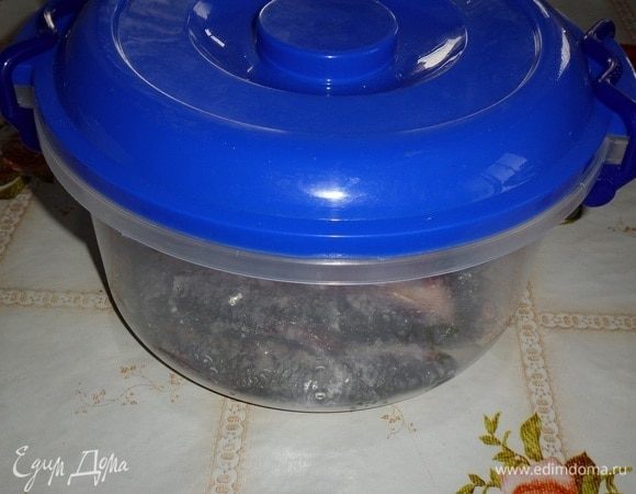 Накрываем чашку и оставляем на 1 сутки при комнатной температуре.