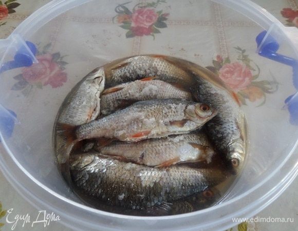 Рыба через 24 часа.