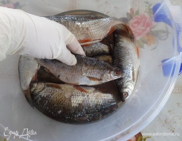 Через 24 часа каждую рыбку нужно перевернуть для равномерного распределения соли. И оставить на 1 сутки. Затем опять перевернуть и оставить на 1 сутки. Итого, рыба солилась 3 суток.