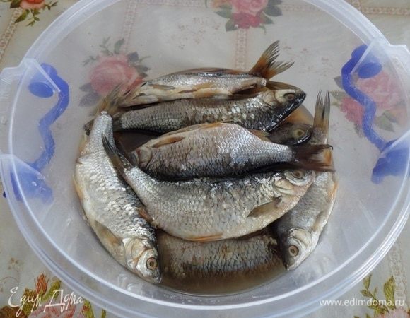 Рыба через 3 суток.