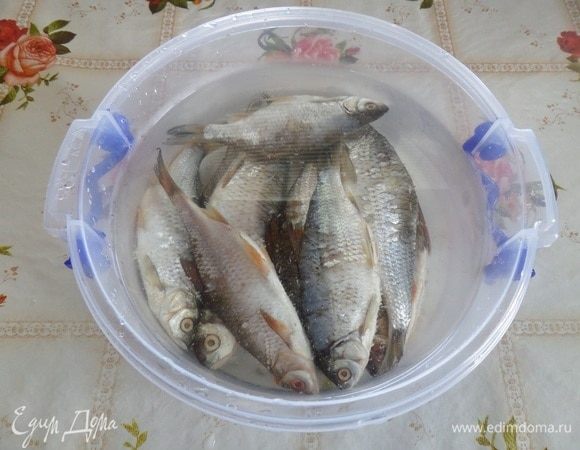 Затем сливаем рассол. Рыбу промываем водой. Выкладываем в чашку и заливаем холодной чистой водой. Оставляем на 30 минут.