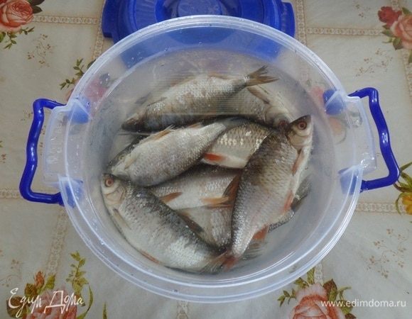 Сливаем воду, рыбу промываем водой. Выкладываем в чашку. Заливаем холодной водой и оставляем на 30 минут. Затем сливаем воду, рыбу выкладываем на решетку.