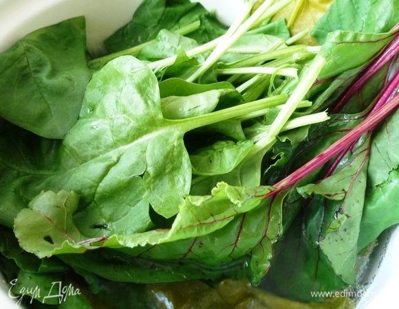 Поставим воду на огонь, доведем до кипения, опустим в нее хорошо промытую ботву свеклы, листья шпината и щавеля на минутку. Затем откинем её на дуршлаг и оставим до остывания.