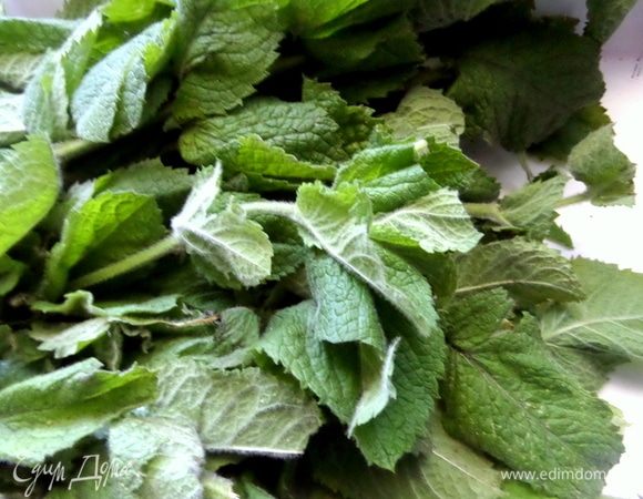 Мята у меня уже переросшая. Отделяем несколько листиков мяты.