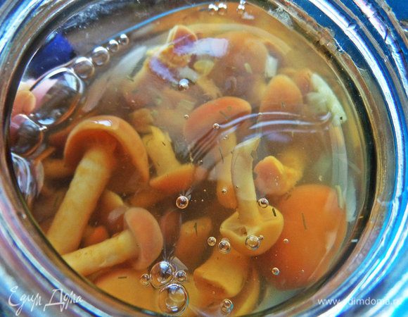 Опята отделить от жидкости.