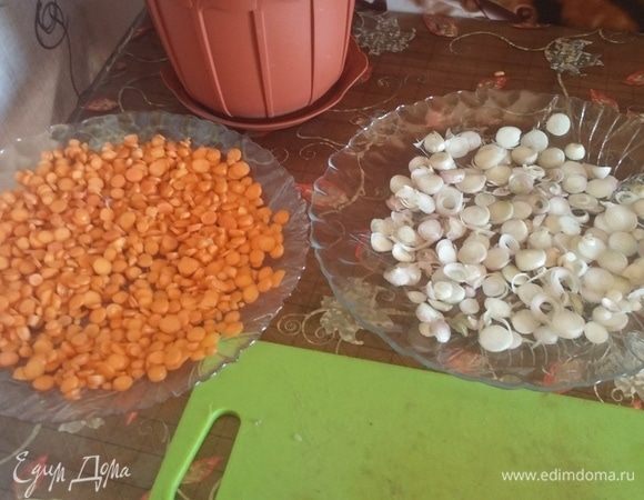 Готовые кружочки молодого лука и моркови выложить на тарелки.