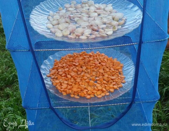 Выложить тарелки в сушилку.