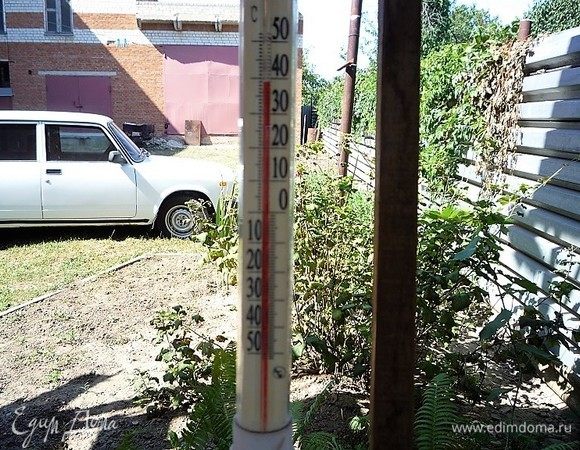 Сушить пастилу можно в духовке (при температуре 100°С с приоткрытой дверцей духовки, примерно 3-4 часа). Или, как я, сушила на свежем воздухе в солнечную погоду. При температуре 39°С на солнце у меня пастила высохла за 3 дня.