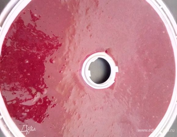 Выливаем массу на листы для пастилы, смазанные растительным маслом. Сушим в электросушилке 12 часов при температуре 60°С.
Не пересушите. Высушенная пастила должна быть воздушной, иметь нежный вкус и хорошо откусываться.  
