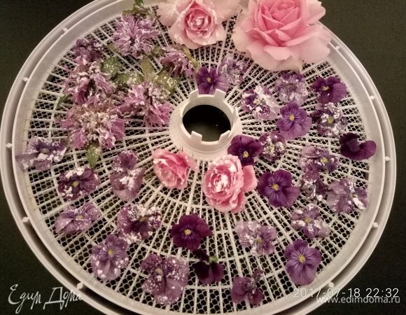 Разместить цветы на поддонах сушилки, предварительно постелив на дно поддона сетку для сушки.  
