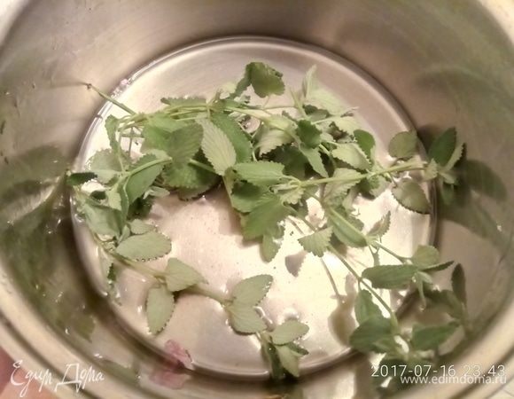 Приготовьте сахарный сироп с водой 1:1. Опустите веточки мелиссы в сироп. 