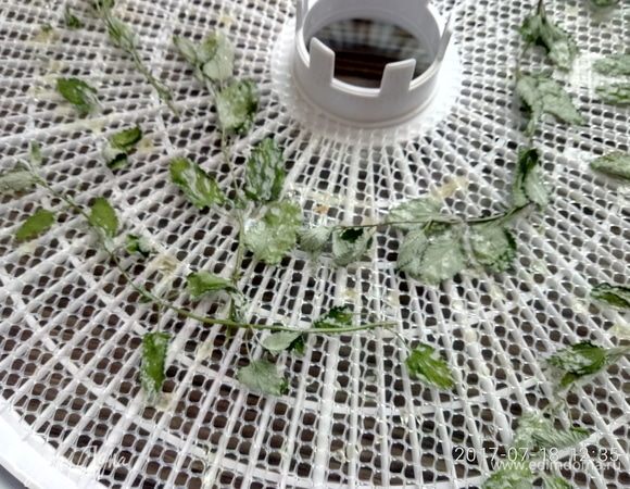 Достать веточки мелиссы из сиропа и уложить на поддон.
