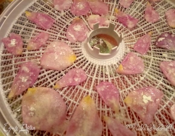 Температурный режим — 50°С. Время сушки — 6-12 часов.