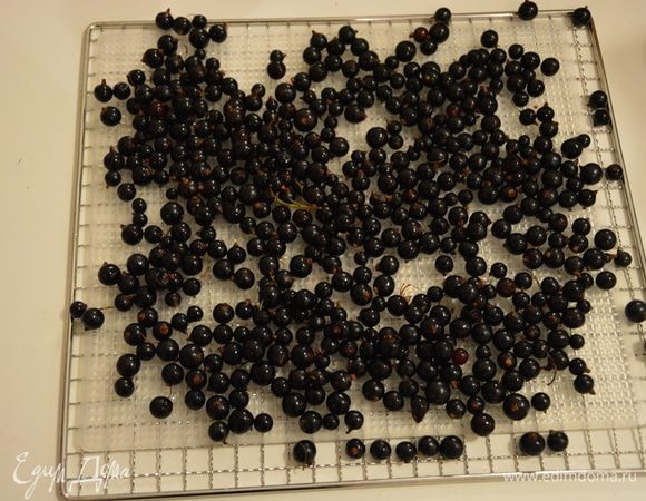 Разложить на листе с дырочками. 