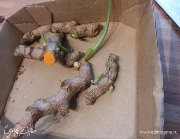 Цветные красители я не употребляю. Считаю, что природа имеет множество возможностей, которые могут окрасить еду в нужный цвет. Одним из таких мощных природных красителей является куркума. Вкус ее в креме чувствуется, но не ярко, зато цвет она дает потрясающий. Мне повезло найти в продаже свежую куркуму. Вот как она выглядит. Но подойдет для крема и порошок.