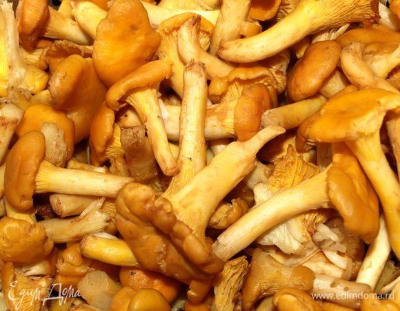 Грибы чистим, моем, обсушиваем. Если грибы крупные, то разрезать на четыре части, средние грибы — на две части, мелкие разрезать не надо.