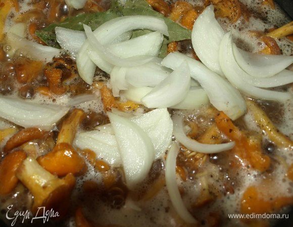 Добавляем соль, перец, лавровый лист, нарезанный перьями лук. Лук использовать небольшой. 