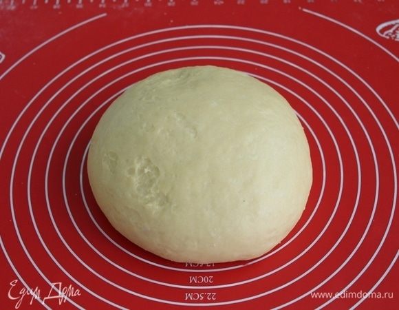 Замесить гладкий шар, переложить в чашку, смазанную растительным маслом, и поставить на расстойку на 1 час в теплое место, накрыв тесто пленкой.