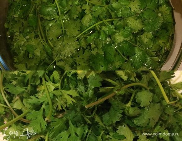 Зелень замочить в воде на 10 минут. Затем хорошо вымыть и высушить (я это делаю в сушке для салата и зелени).