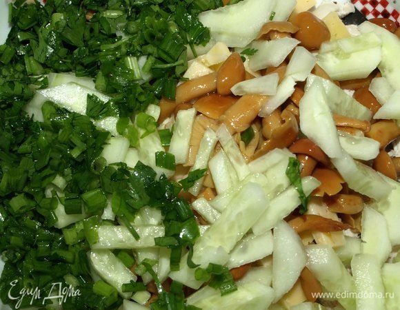 Мелко шинкуем зеленый лук и петрушку. Соединяем с остальными ингредиентами.