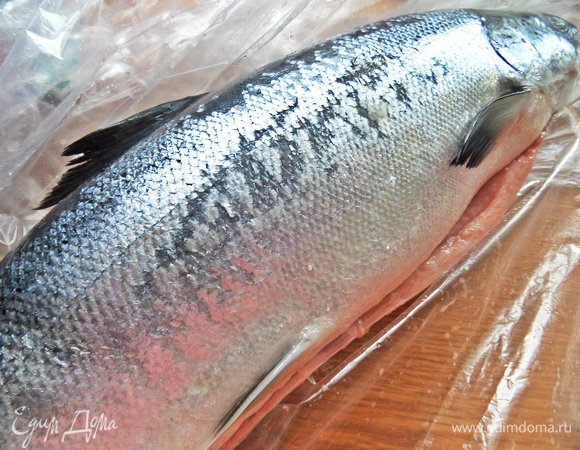 Можно взять рыбное филе. У меня был такой лосось атлантический.