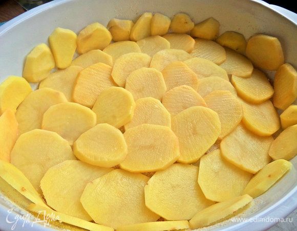 Выложить слой картофеля.