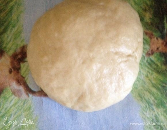 Когда опара поднялась, добавьте остальные продукты и замесите тесто. Оно должно быть мягким и податливым, не прилипать к рукам. Посуду смажьте сливочным маслом уложите тесто и оставьте подниматься в теплом месте 1 час.