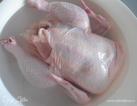 Приготовить соленад. В чистой воде размешать соль, чтобы она растворилась. Чистую куриную тушку поместить в этот раствор, закрыть крышкой и убрать в холодильник на 4 часа. Если курица покрыта полностью, забудьте про нее на это время. У меня тара немного маловата, поэтому мне пришлось ее пару раз переворачивать. По истечении времени вылить воду, курицу обсушить салфетками.
