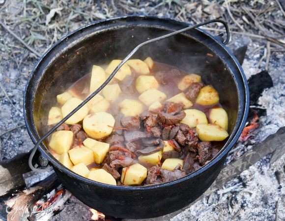 Через полтора часа добавить картофель к дичи, залить все водой. Если хотите суп — добавьте ее побольше. Для второго достаточно, чтобы вода слегка покрывала уровень картофеля и птицы. Соль, перец и приправы добавить по вкусу.