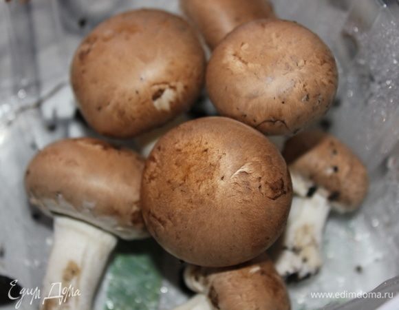 Прежде всего, нам нужны вот такие грибы. Это разновидность из семейства шампиньонов, но у них более ярко выраженный грибной вкус. За их отсутствием используйте шампиньоны или другие грибы.