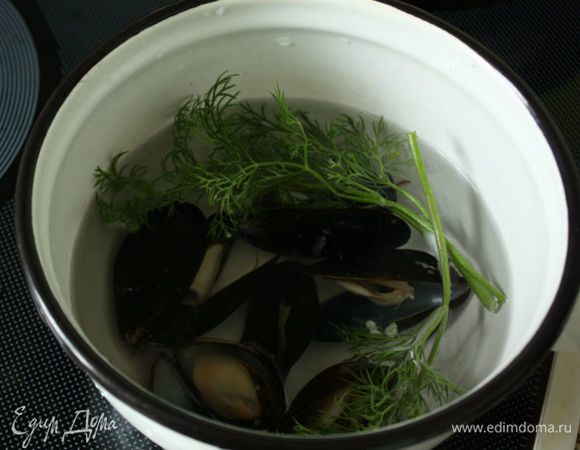 Мидии положите в холодную воду и доведите до кипения на плите. Первую воду слить, нераскрывшиеся мидии выбросить. Вновь залить мидии холодной водой, добавить укроп и после закипания варить 5 минут. Снять с огня и держать под крышкой до подачи.