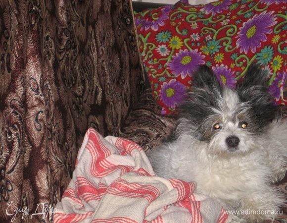 Любитель косточек и рыбы, а также конфет, семечек и хозяйских книг.