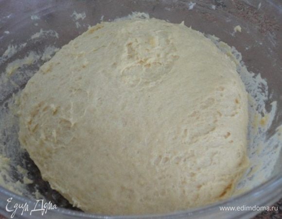 Муку лучше не всыпать всю сразу, а подмешивать частями. Оставить в теплом месте для подъема примерно на час.