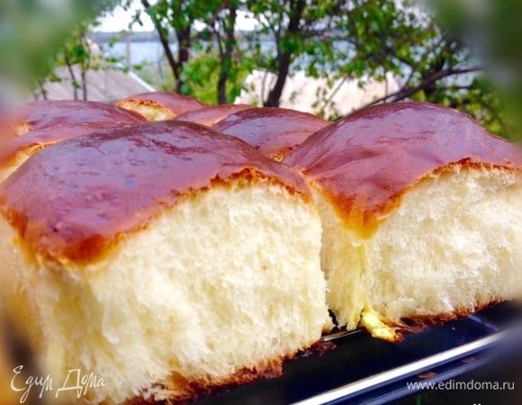 Вот такие пушистики «спелись».