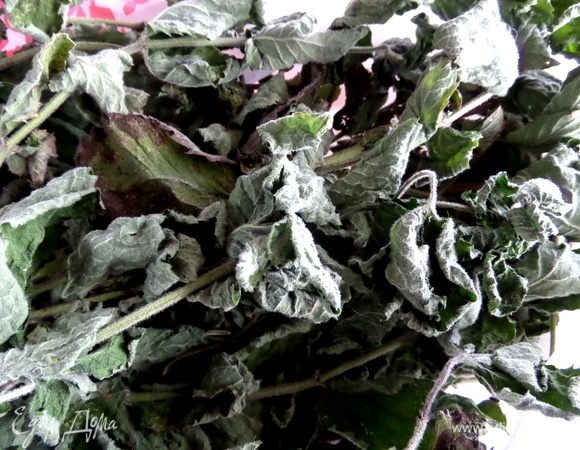 Мята собрана на огороде у родственников и благополучно высушена у меня на кухне.