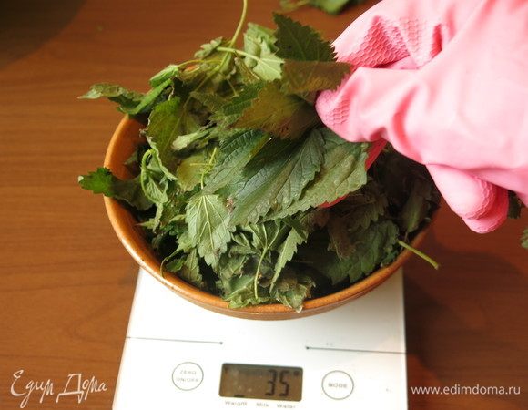 Обрываем листья крапивы. Рекомендую взять перчатки. Два больших пучка — 120 г листьев, у меня был только один пучок.