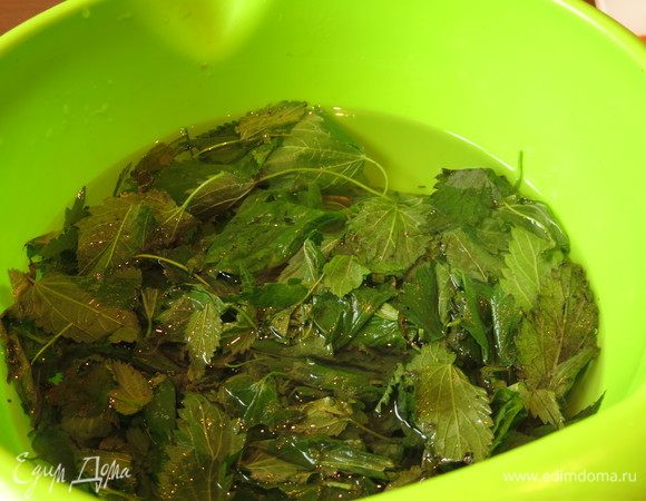 Промываем листья, убираем темноватые.