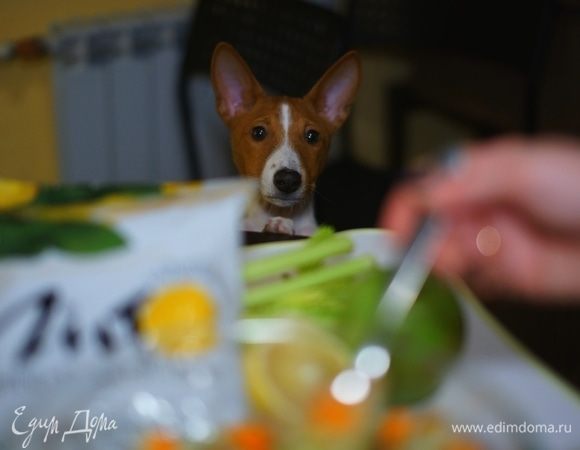 Ароматы свежих овощей привлекли маленького охотника :)